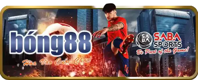 VIP79 Đăng Nhập: Giải Mã Tỷ Lệ Cược Thể Thao